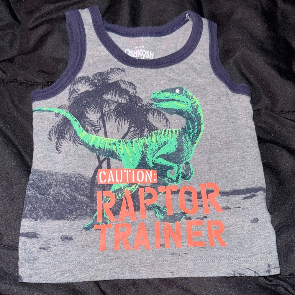 OshKosh B'gosh Gray Raptor Trainer Tank Top